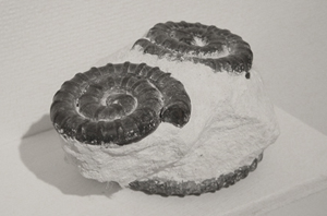 アート,作品,現代美術,写真