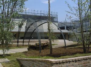 アート,作品,現代美術,写真