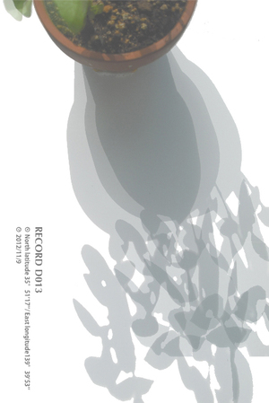 アート,作品,現代美術,写真