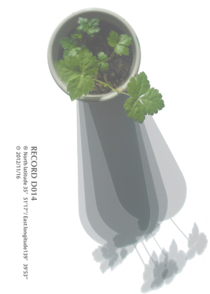 アート,作品,現代美術,写真